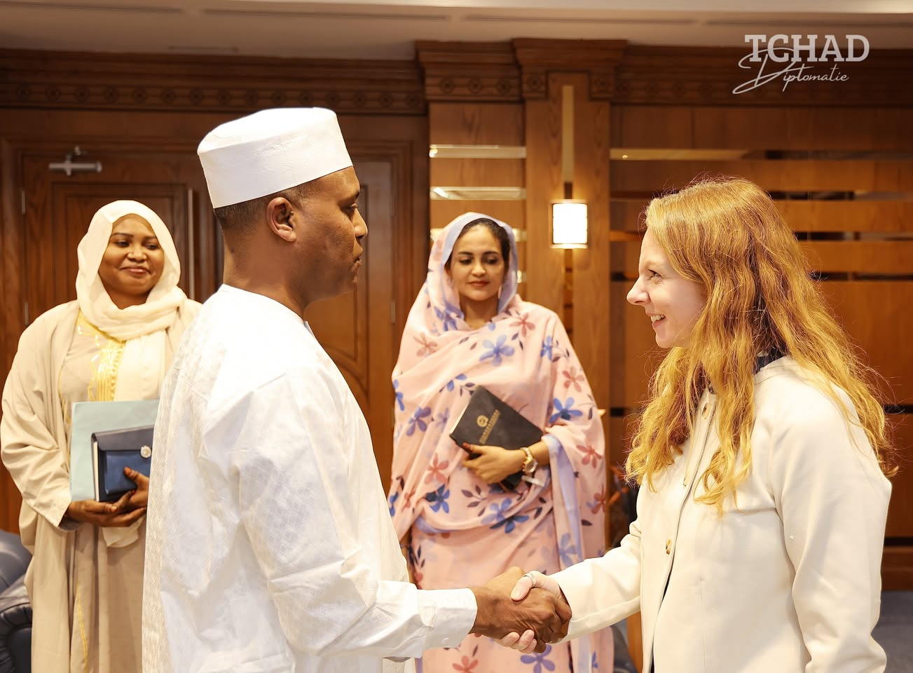 دبلوماسية: تشاد والمملكة المتحدة تعززان تعاونهما في المجال الإنساني.