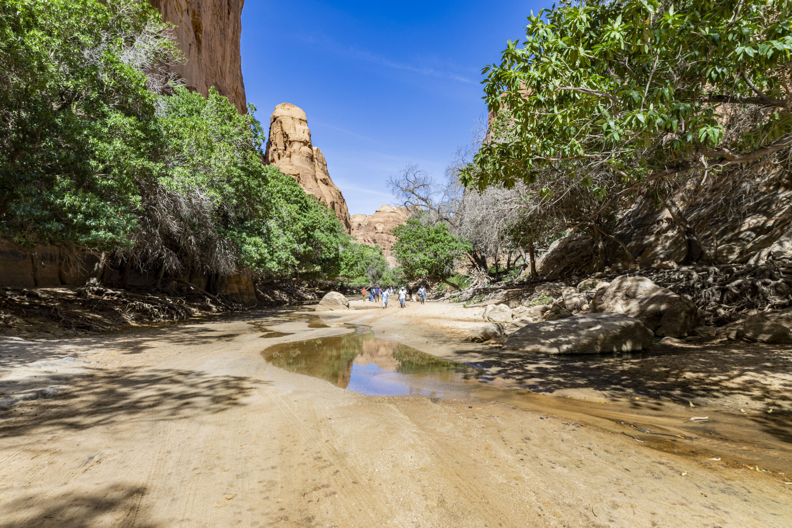 فيكسا 2026: سائح مفقود ووزارة التنمية السياحية تتدخل