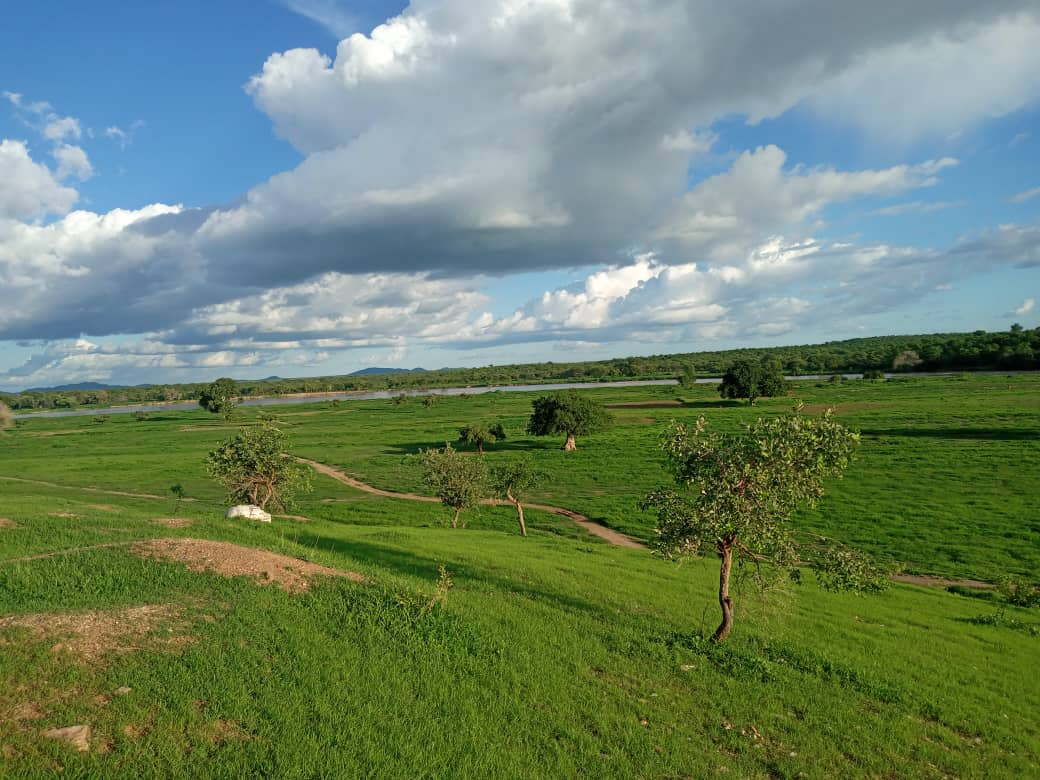 سيلا: هجمات مسلحة تتسبب في إصابات وسرقة ممتلكات